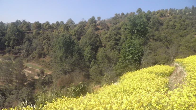 Kathmandu Day Hiking
