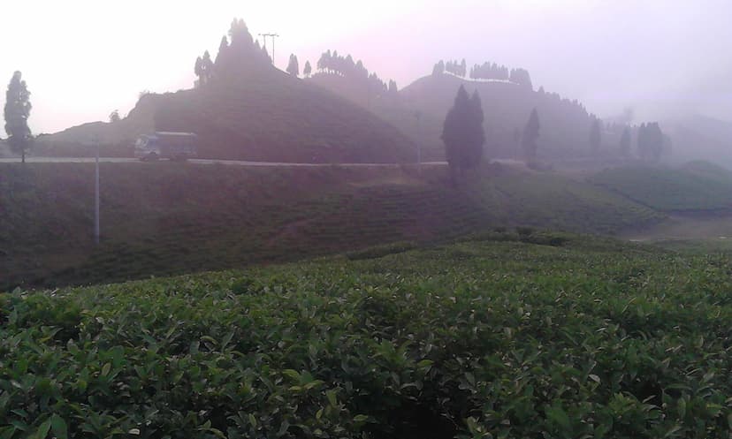 Nepal Agriculture Tour