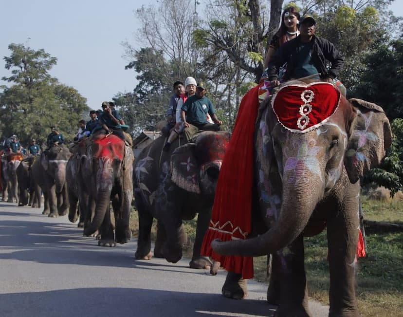 Elephant Picnic Celebrates in Chitwan