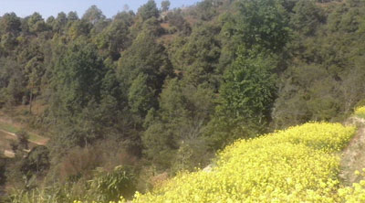 Kakani Nagarjun Hiking